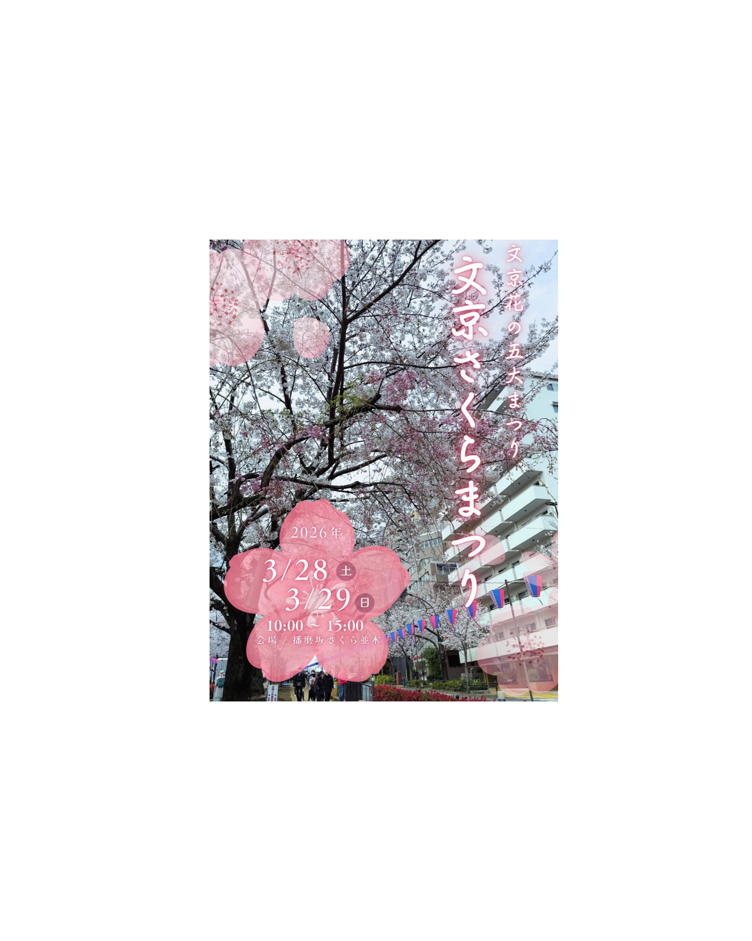 2026文京さくらまつり 出店のお知らせ